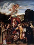 Giovanni Cariani Virgin Enthroned with Angels and Saints oil on canvas